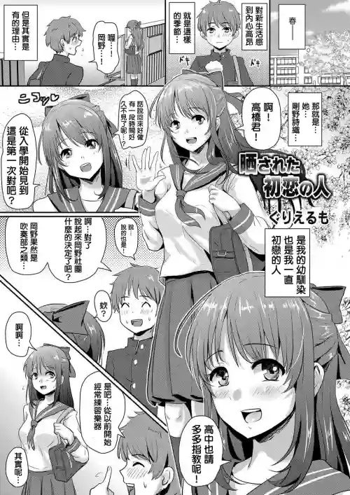 曬された初戀の人圖