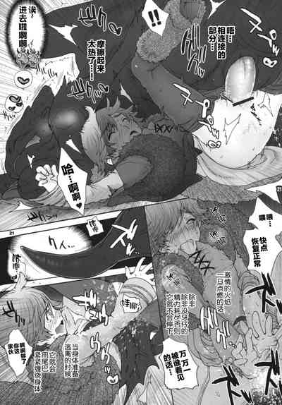 第20页图