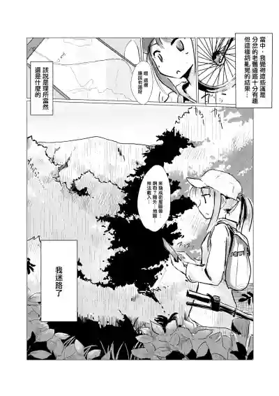 第4页图