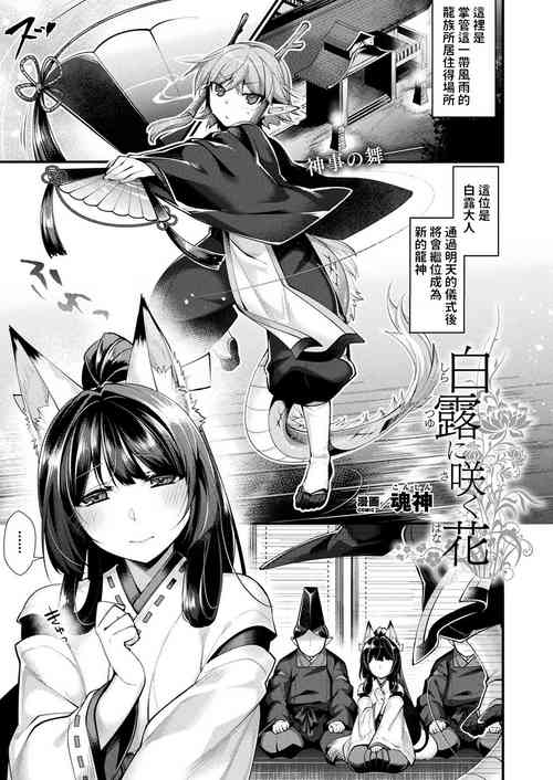 白露に咲く花圖