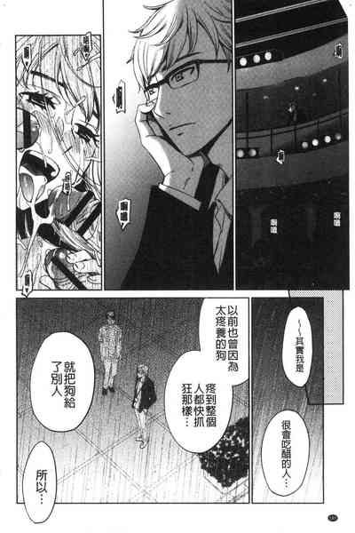第184頁圖