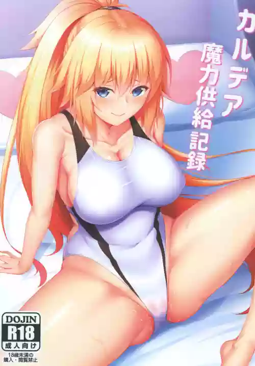 カルデア魔力供给记录图