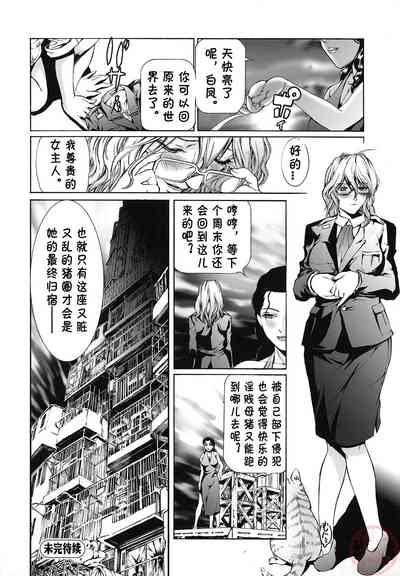 第68頁圖