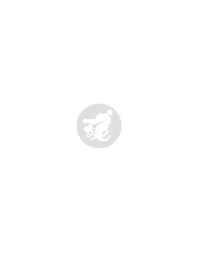 第220頁圖