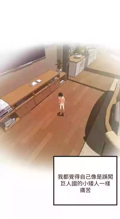 第48頁圖