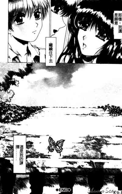 第140頁圖