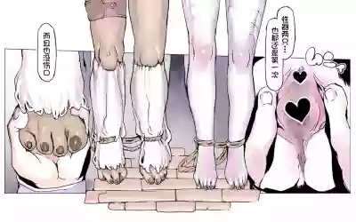 第24頁圖