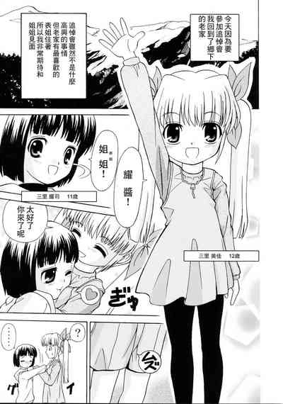 第4页图