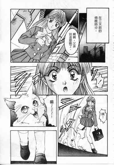 第92頁圖