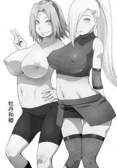 第56頁圖
