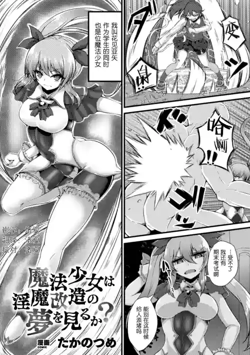 魔法少女は淫魔改造の梦を见るか?图