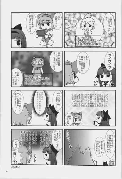 第20页图