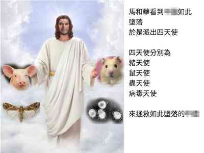 第20頁圖