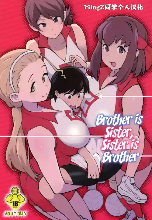 兄が妹で妹が兄で图