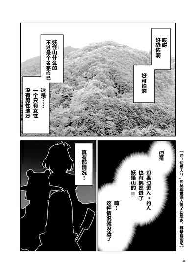 第44页图