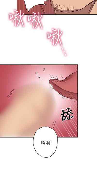 第584頁圖