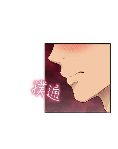 第528頁圖