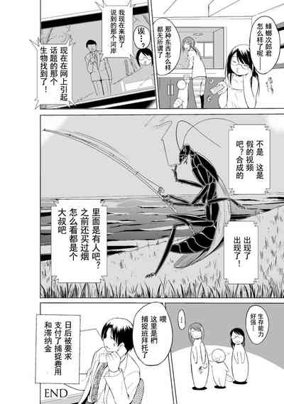 第176页图