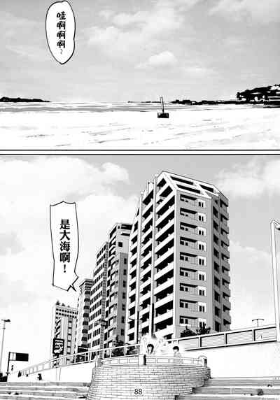 第88頁圖