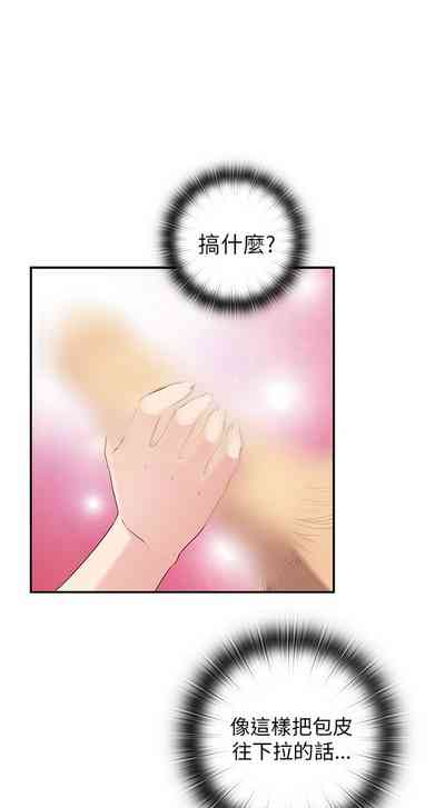 第528頁圖