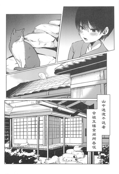 第4页图