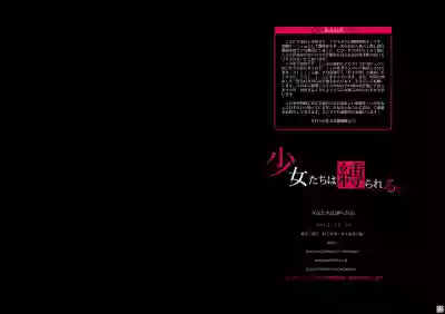 第12頁圖