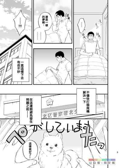 第4页图