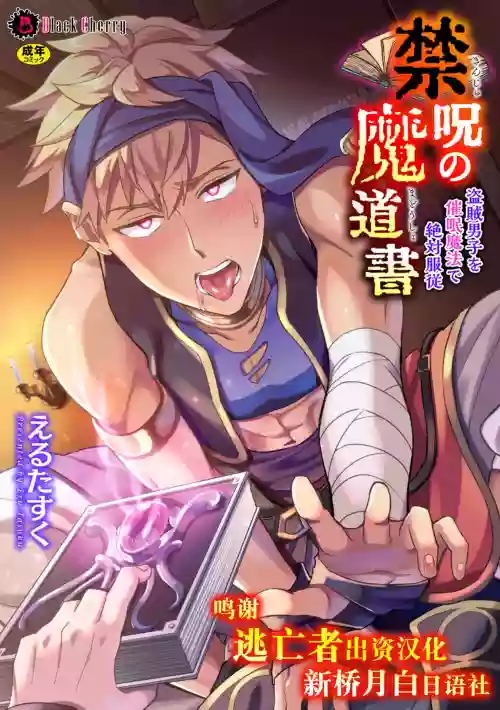 禁呪の魔道書 盜賊男子を催眠魔法で絕対服従圖