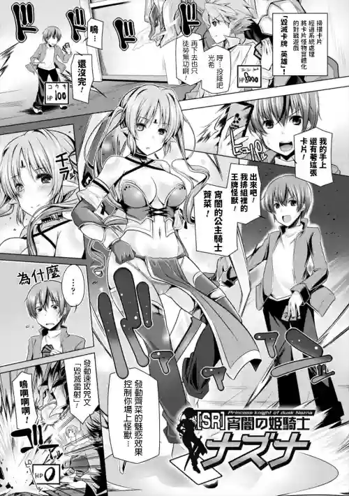 宵暗の姫騎士 ナズナ 封面 - HaSM.cc