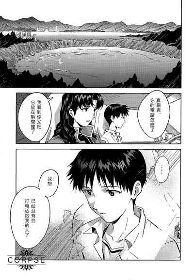 第4页图