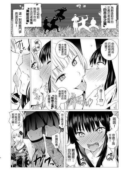 第4页图