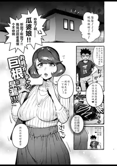 第4页图