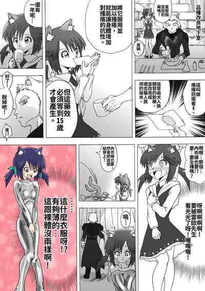 第4页图