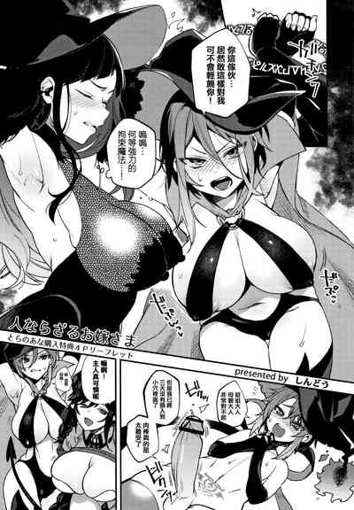 第216頁圖