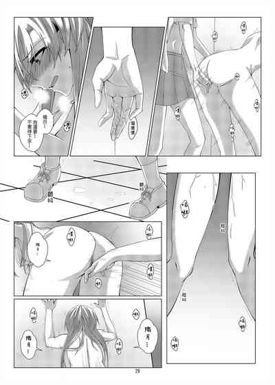 第28页图
