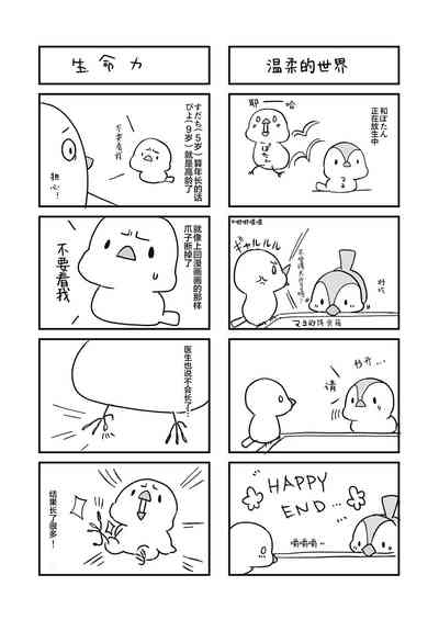 第24页图