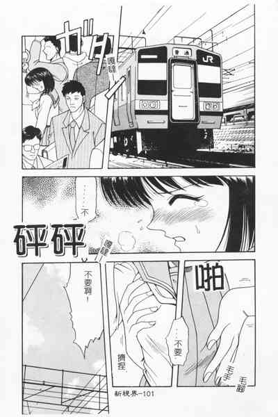 第100頁圖