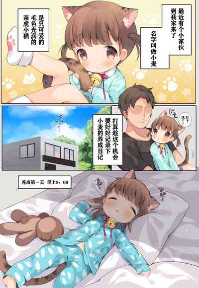 第4頁圖