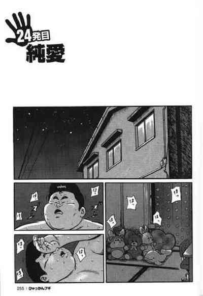 第256頁圖
