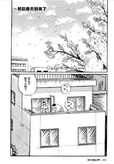 第324頁圖