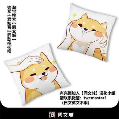 第20页图