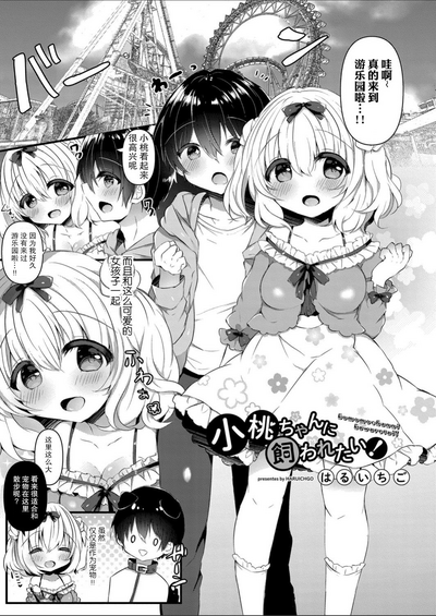 第4页图