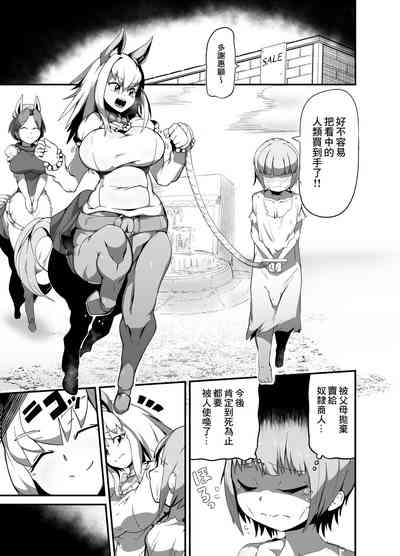 第4页图