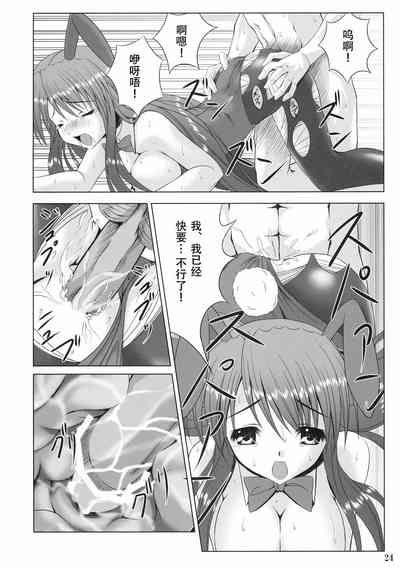 第24页图