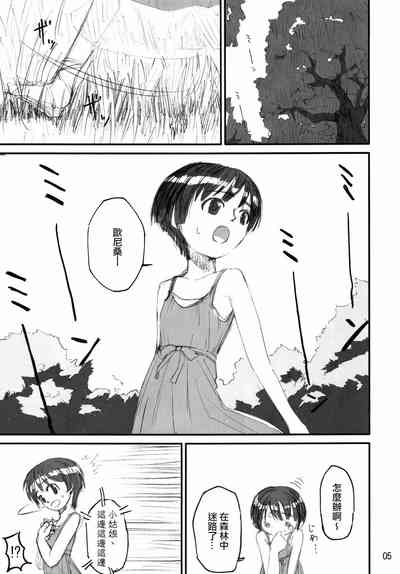 第4页图