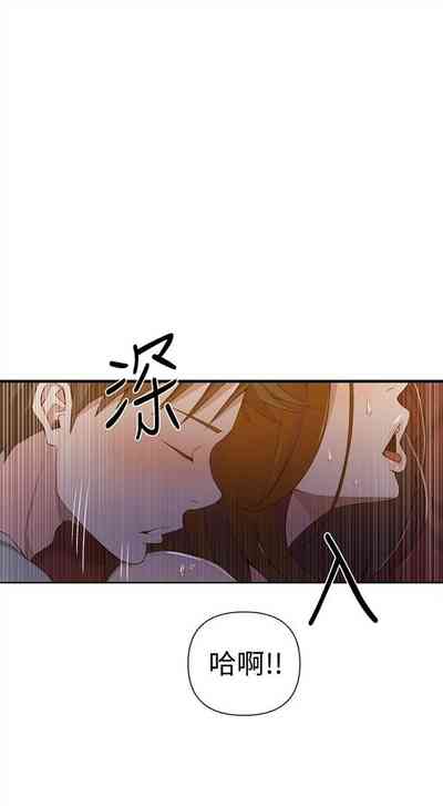 第264頁圖