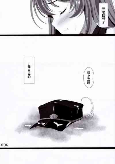 第20页图