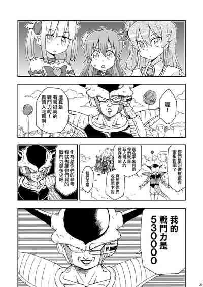 第20頁圖