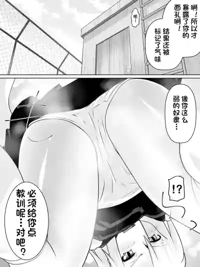 第32页图