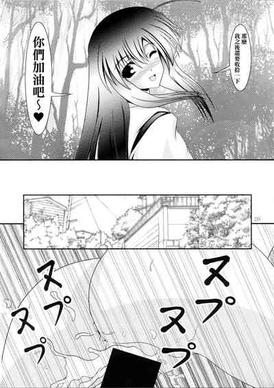 第20頁圖